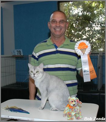 Clowntown's Shining Silver Dollar